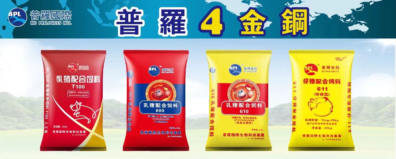 普罗4金刚.jpg